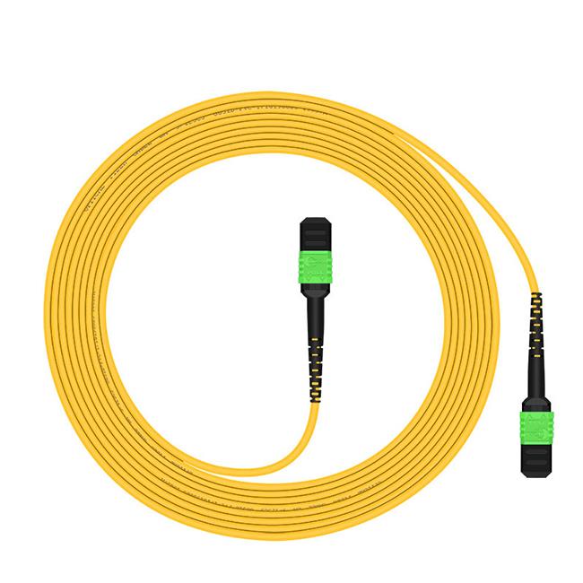 Kabel MTP 12-Fibre OS2
