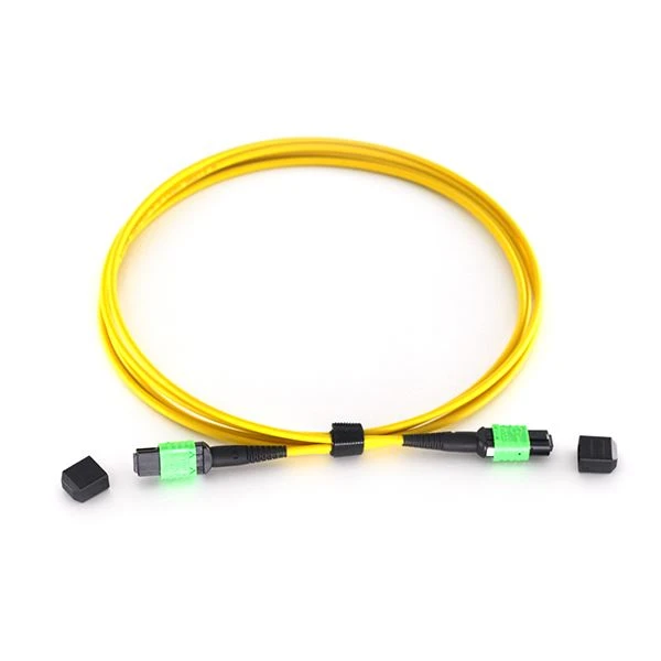 Czy masz 32-żyłowy kabel MPO?